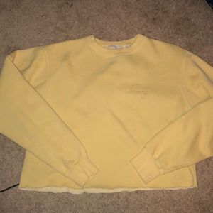 John galt (brandy Melville) cropped sweatshirt